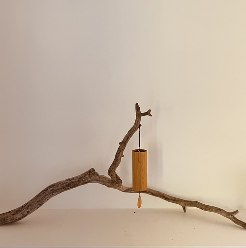 Somatic and Psychodynamic Psychotherapy in Christchurch