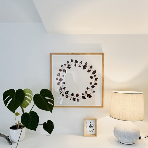 Somatic and Psychodynamic Psychotherapy in Christchurch