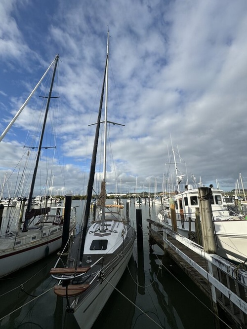 Counselling in Whangarei